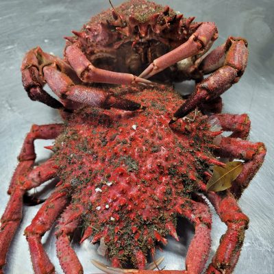 Cangrejo de mar en Asador Los Manchegos