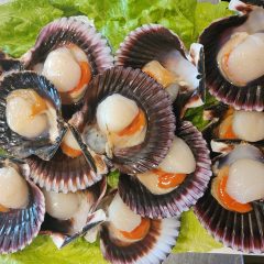 zamburiñas a la plancha en Asador Los Manchegos Asador en Tarancón Restaurante en Tarancón, Restaurante familiar en Tarancón, Asador con productos locales en Tarancón, Carnes a la brasa,Parrilla tradicional, Comida típica manchega en Tarancón, Restaurante especializado en carnes, Referente gastronómico en Tarancón