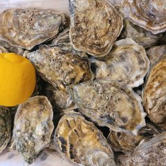 Almejas finas fritas en Asador Los Manchegos Asador en Tarancón Restaurante en Tarancón, Restaurante familiar en Tarancón, Asador con productos locales en Tarancón, Carnes a la brasa,Parrilla tradicional, Comida típica manchega en Tarancón, Restaurante especializado en carnes, Referente gastronómico en Tarancón