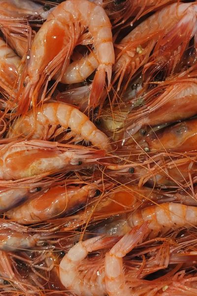 Langostinos en Asador Los Manchegos Referente gastronómico en Tarancón